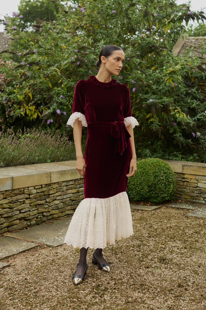 Aster Burgundy Velvet Dress