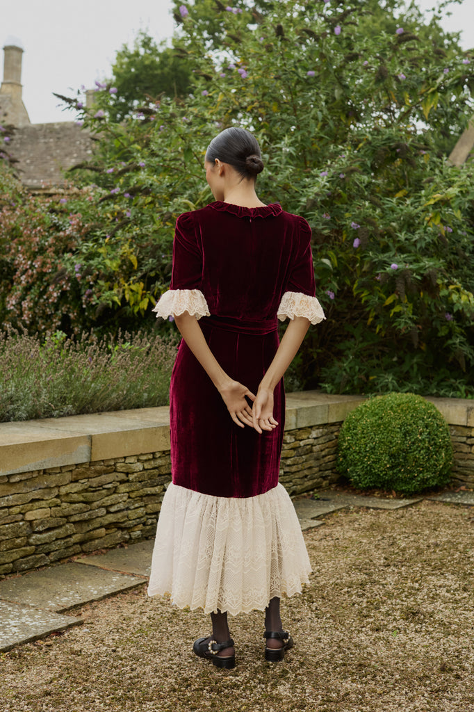 Aster Burgundy Velvet Dress